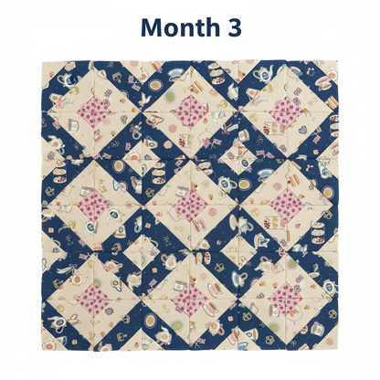 A Year in Stitches Quilt Club Month 3 - White Background